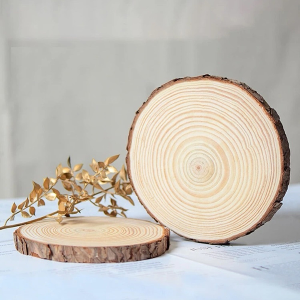1set/6pcs 10-12cm Round Pine Wood Slices For Diy Crafts - Picture 9 of 16